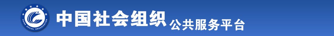 草骚货视频全国社会组织信息查询